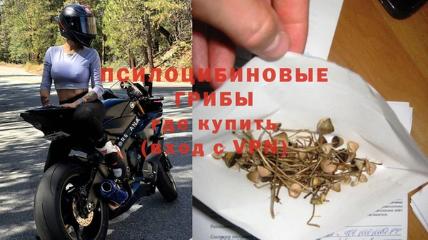 гашик Володарск