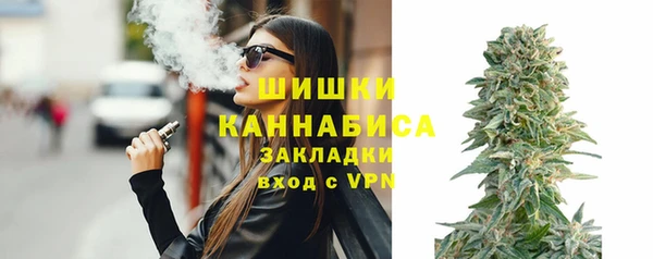 индика Волосово