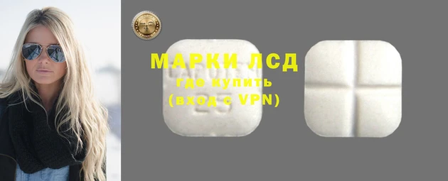 индика Волосово