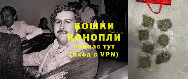 индика Волосово
