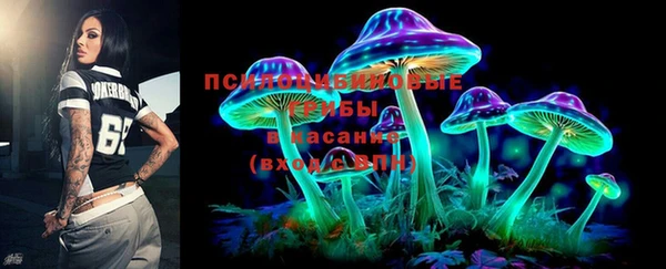 индика Волосово