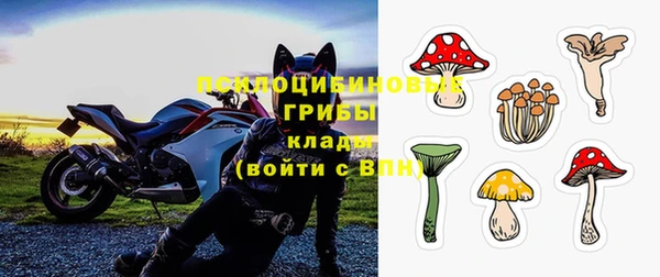 гашик Володарск