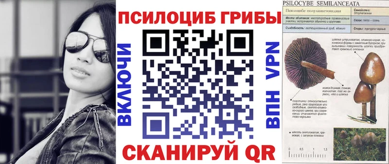 Купить  Ликино-Дулёво  Галлюциногенные грибы GOLDEN TEACHER 